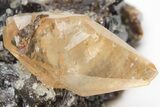 Twinned Calcite Crystal with Sphalerite - Elmwood Mine #209735-2